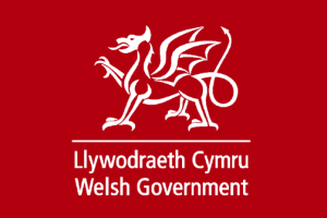 Wales & the English ME/CFS Delivery Plan